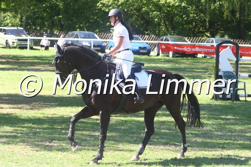 308M2449_Chellistin II B_Springpf L.JPG